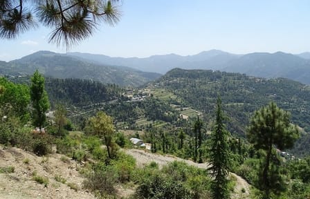 Private 4-Day Tour from Chandigarh to Shimla Hill Station