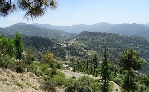 Private 4-Day Tour from Chandigarh to Shimla Hill Station