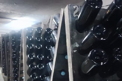 1 Day: Wine tasting tour to Milesti Mici and Cricova cellar from Moldova