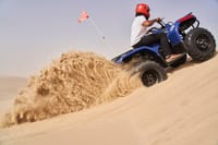 Dubai Evening Desert Safari with Dune Bashing & BBQ Dinner 4