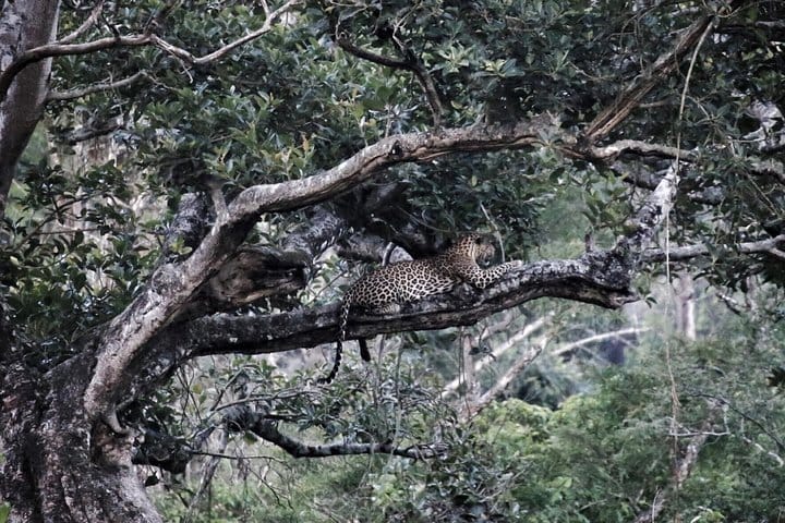 19 Days Mera Peak Climbing & Expedition – One Life-Changing Himalayan Adventure