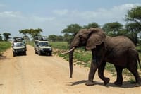 15days Spectacular Kenya & Tanzania Safari Combination with Zanzibar Beach 1