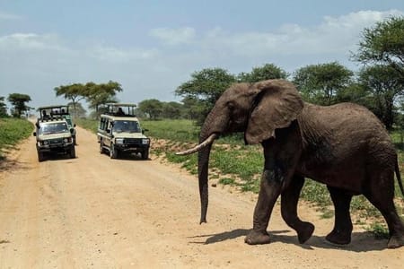 15days Spectacular Kenya & Tanzania Safari Combination with Zanzibar Beach
