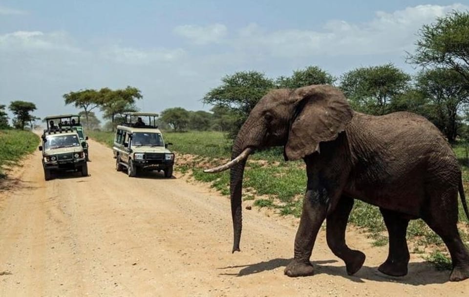 15days Spectacular Kenya & Tanzania Safari Combination with Zanzibar Beach
