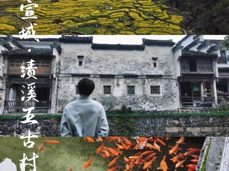 Shanghai: Mushroom Farm Discovery & Picking Private Trip