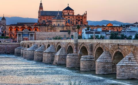 Córdoba Day Trip from Seville with Guided Tours and Photography