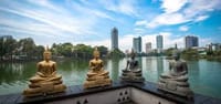 03 Day Tour From  Colombo ( Without Accommodation)  8