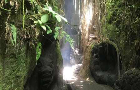 Purification Ritual at Beji Griya Waterfall in Ubud