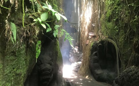 Purification Ritual at Beji Griya Waterfall in Ubud