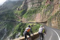 Kirstenbosch Garden, Bo-Kaap,Penguins & Cape of Good Hope Tour 8
