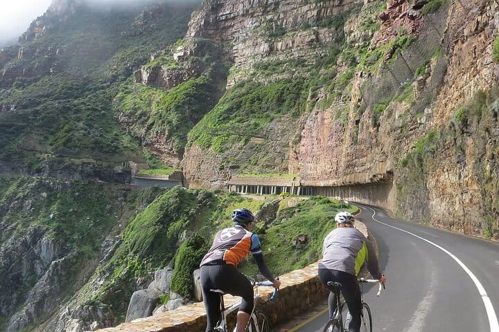 Kirstenbosch Garden, Bo-Kaap,Penguins & Cape of Good Hope Tour 8