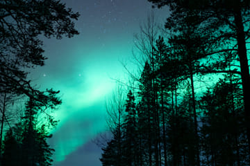 Aurora Walking Tour at Lucky Ranch in Kemijärvi, Finland