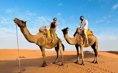 9-Day Private Adventure Tour of Morocco from Casablanca