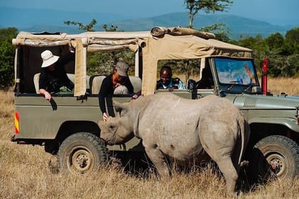Day Tour Ol Pejeta Conservancy and Chimpanzee Sanctuary