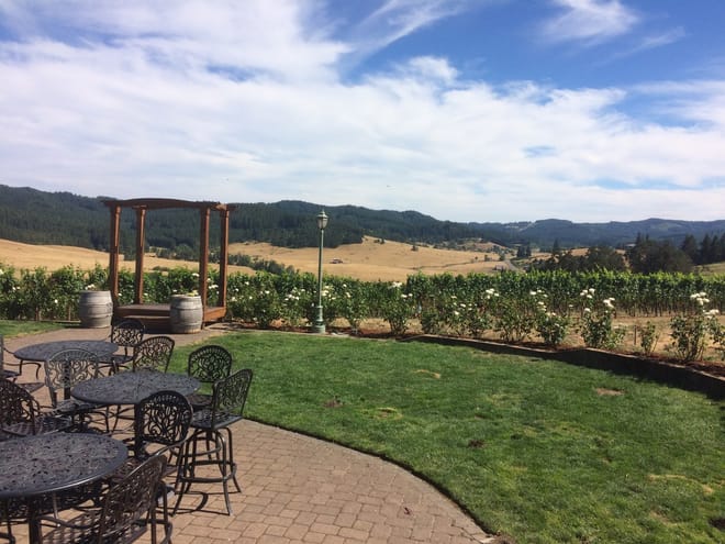 Vineyard