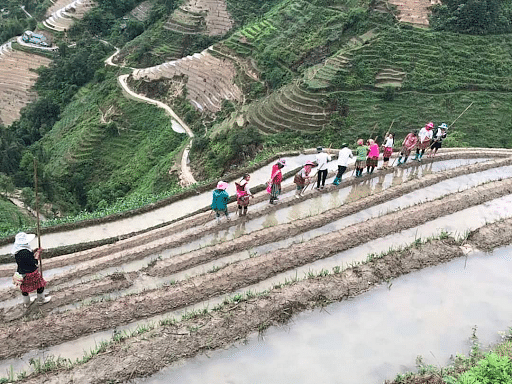 Hoang Su Phi terraced fields trekking 4 days 3 nights