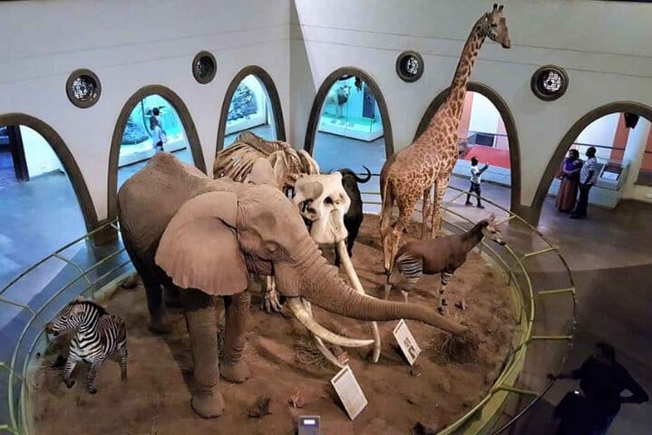 Nairobi Museum Snake Park Giraffe Center and Beads Center Tour