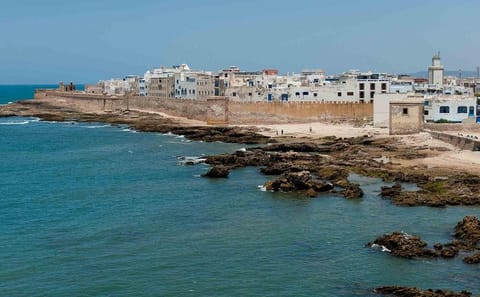 Day Trip to Essaouira from Marrakech with Free Time