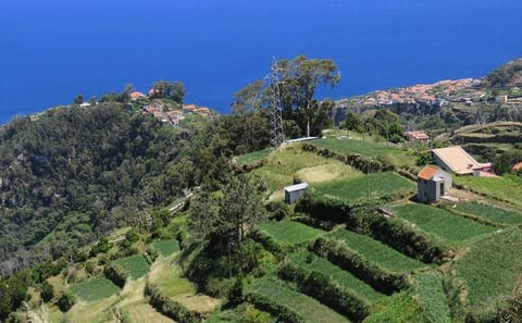 Guided 4-Hour Madeira Highlights Tour from Funchal