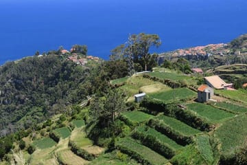 Guided 4-Hour Madeira Highlights Tour from Funchal