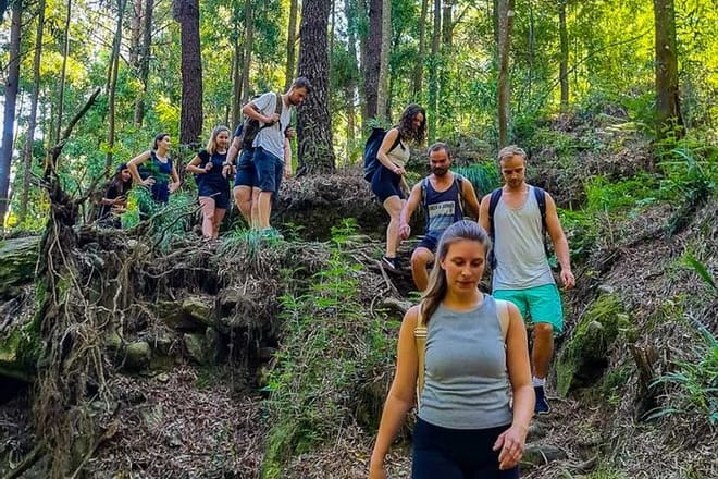 Serra d'Arga: Senderismo, Baño y Cena como un Local en un Rincón Secreto – image 20