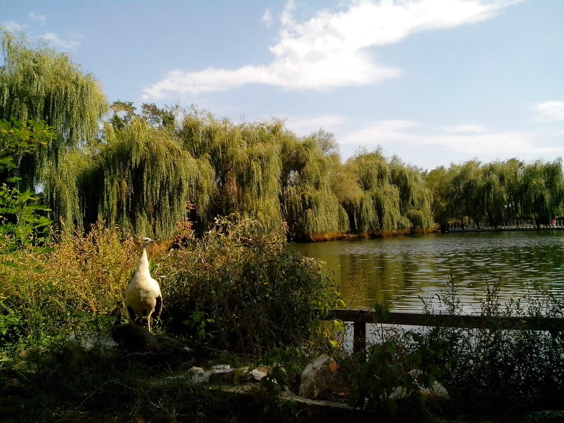 Ravadinovo Castle Unseen 9