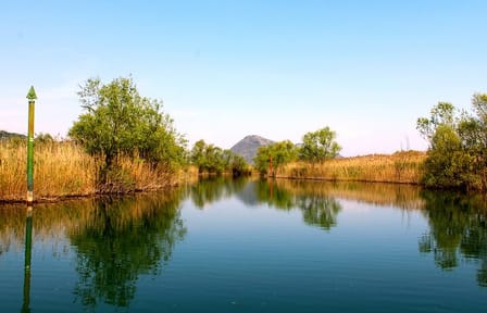 Skadar Lake & Crnojevića River Boat Tour: Swimming, Snacks & Wine