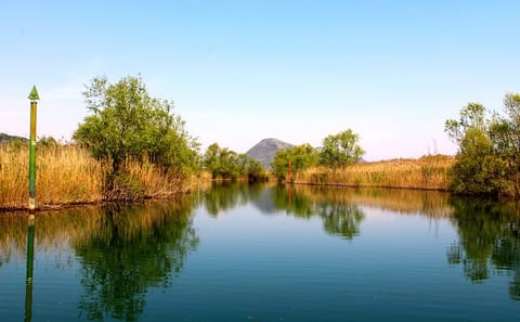 Skadar Lake and Crnojevića River Boat Tour in Montenegro