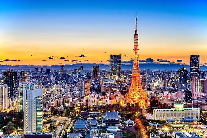 Tokyo Private Driving Tour by Car/Van- English speaking chauffeur