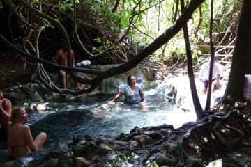 The Wonders of Thailand’s Last Lowland Rainforest
