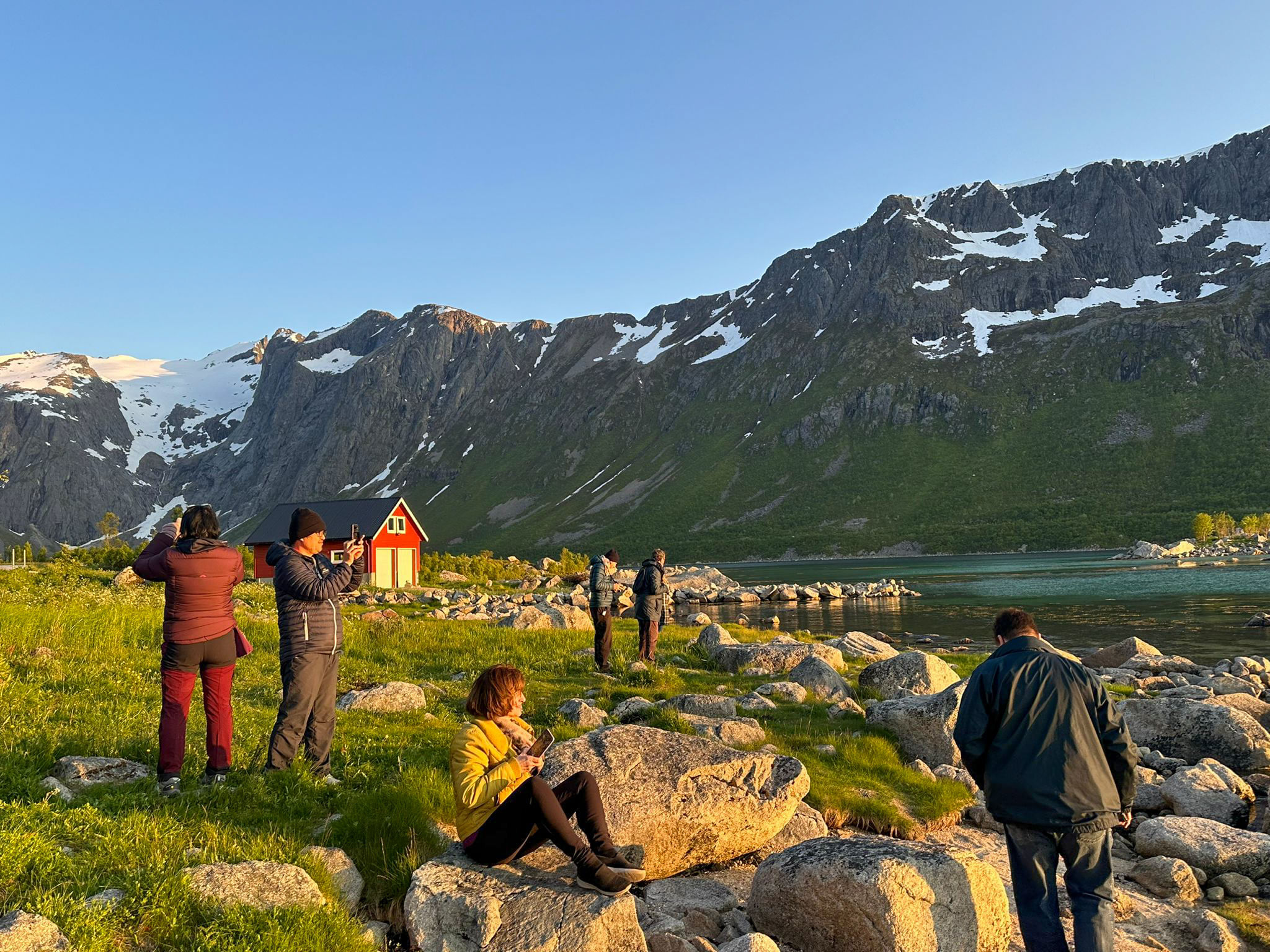 Tromsø Fjords and Wildlife Tour in a Minibus