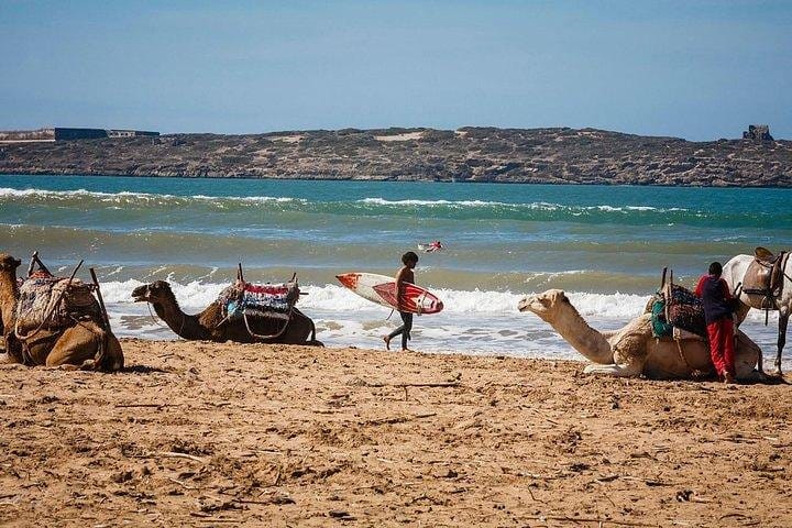 Private day trip from Marrakech to Essaouira