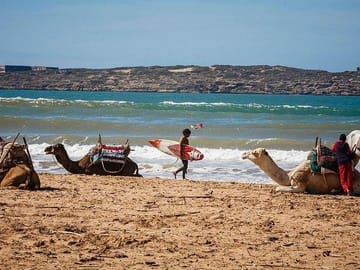 Private Day Trip from Marrakech to Essaouira's Medina