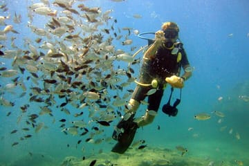 Scuba Diving Experience Tour from Side