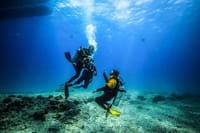 PADI Open Water Course Advanced Diving in Hurghada - Hurghada