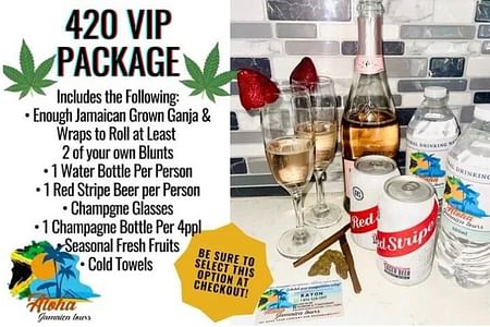 Private Transfer from Montego Bay to Negril – Scenic Journey with VIP Service