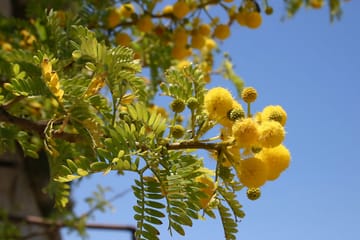 Private Nature Walking Tour in Marsaxlokk, Malta