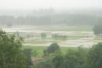 Tractor Safari – An Authentic Village Tour in Agra showcasing the real India. 5