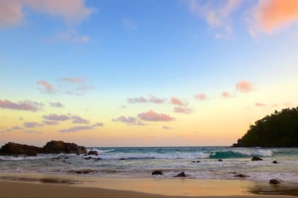 Mirissa Whale Watching Tour