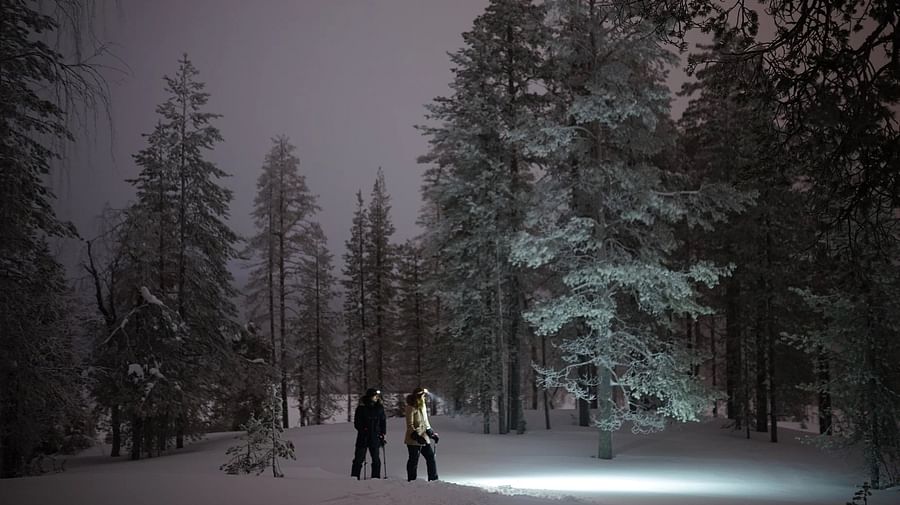 Night Ski Trekking adventure in Lapland