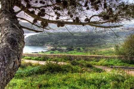 Mistra Valley & Selmun Nature Walk: Scenic Tour of Malta’s Flora