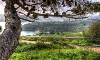 Mistra Valley & Selmun Nature Walking Tour (Private Tour)