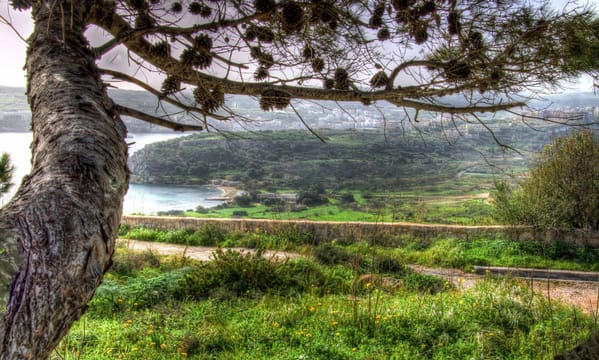 Mistra Valley & Selmun Nature Walking Tour (Private Tour)