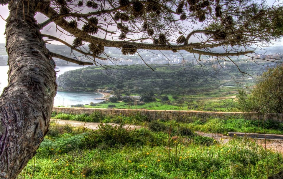 Mistra Valley and Selmun Nature Hiking Tour in Mellieha