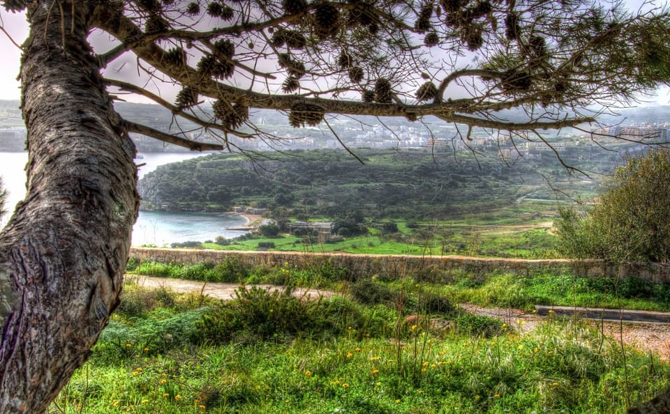 Mistra Valley and Selmun Nature Hiking Tour in Mellieha
