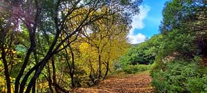 Castiadas: trekking in the S'Acqua Callenti forest