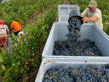 Wine Tasting Tour of Milesti Mici and Cricova in Moldova