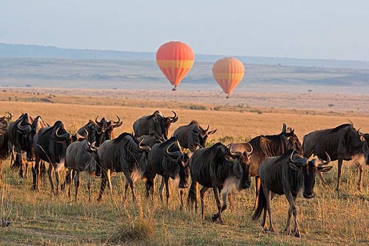 3-Day Amboseli and Tsavo West from Nairobi