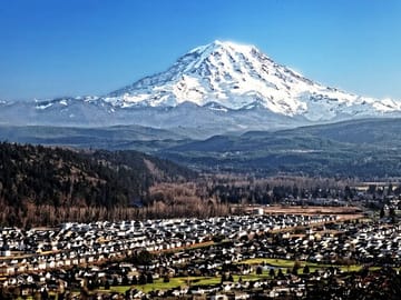 Private SUV Tour of Mt Rainier National Park from Bellevue