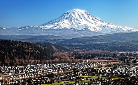 Private SUV Tour of Mt Rainier National Park from Bellevue